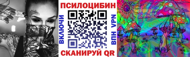 Псилоцибиновые грибы Psilocybine cubensis  MEGA ТОР  Сковородино 